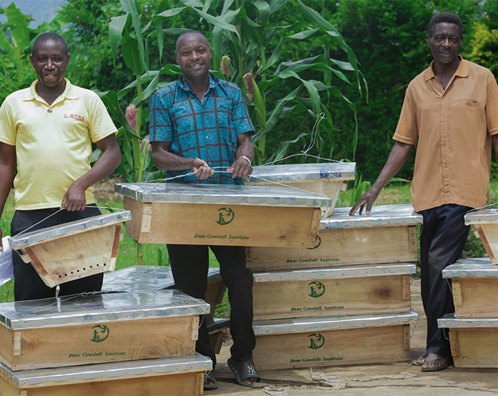 Bienenschutz in Zusammenarbeit mit dem Jane Goodall Institute Austria