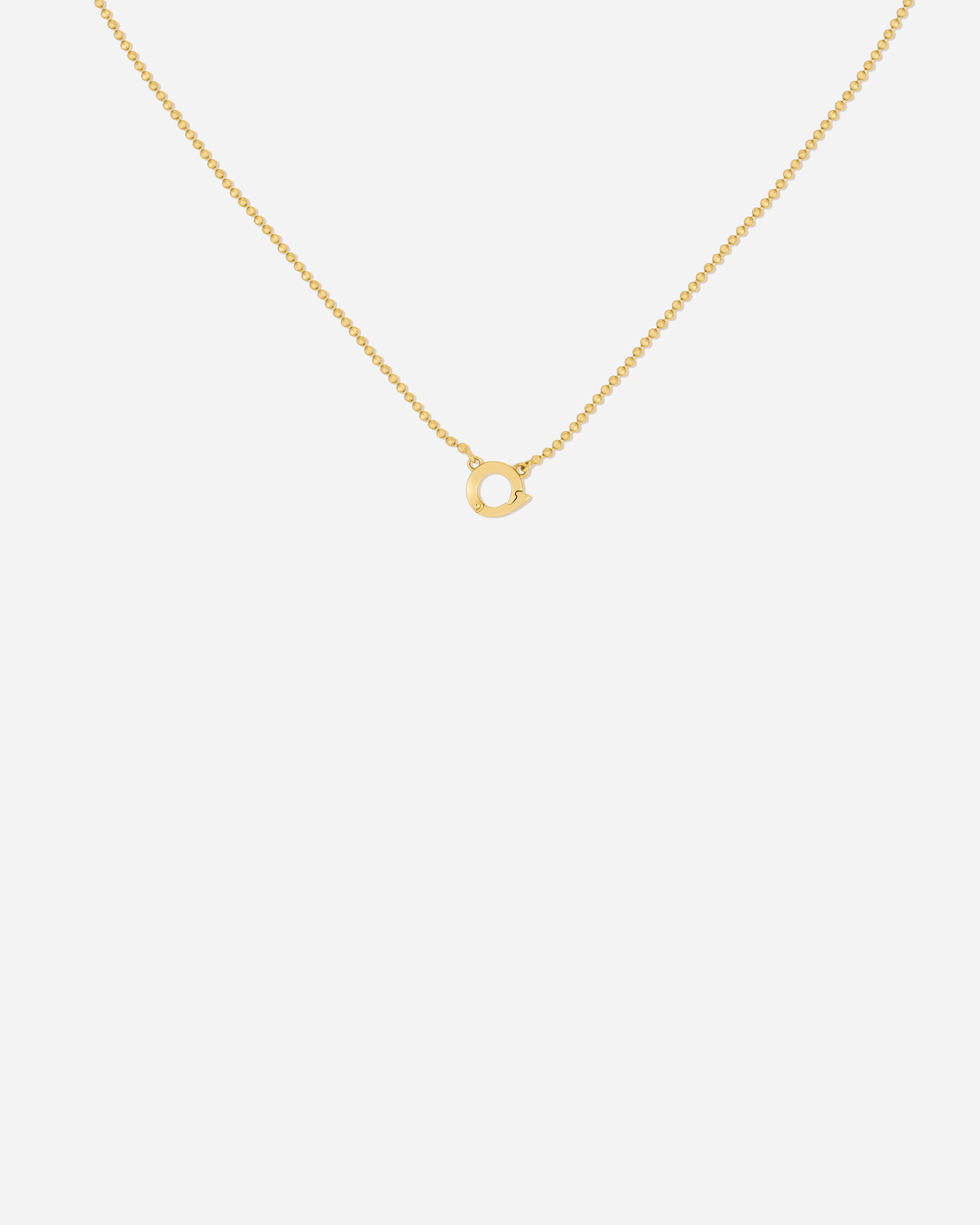 Delphi Charm Clasp Necklace