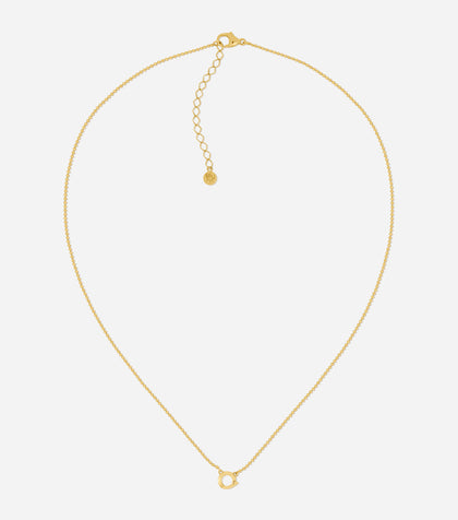 Delphi Charm Clasp Necklace