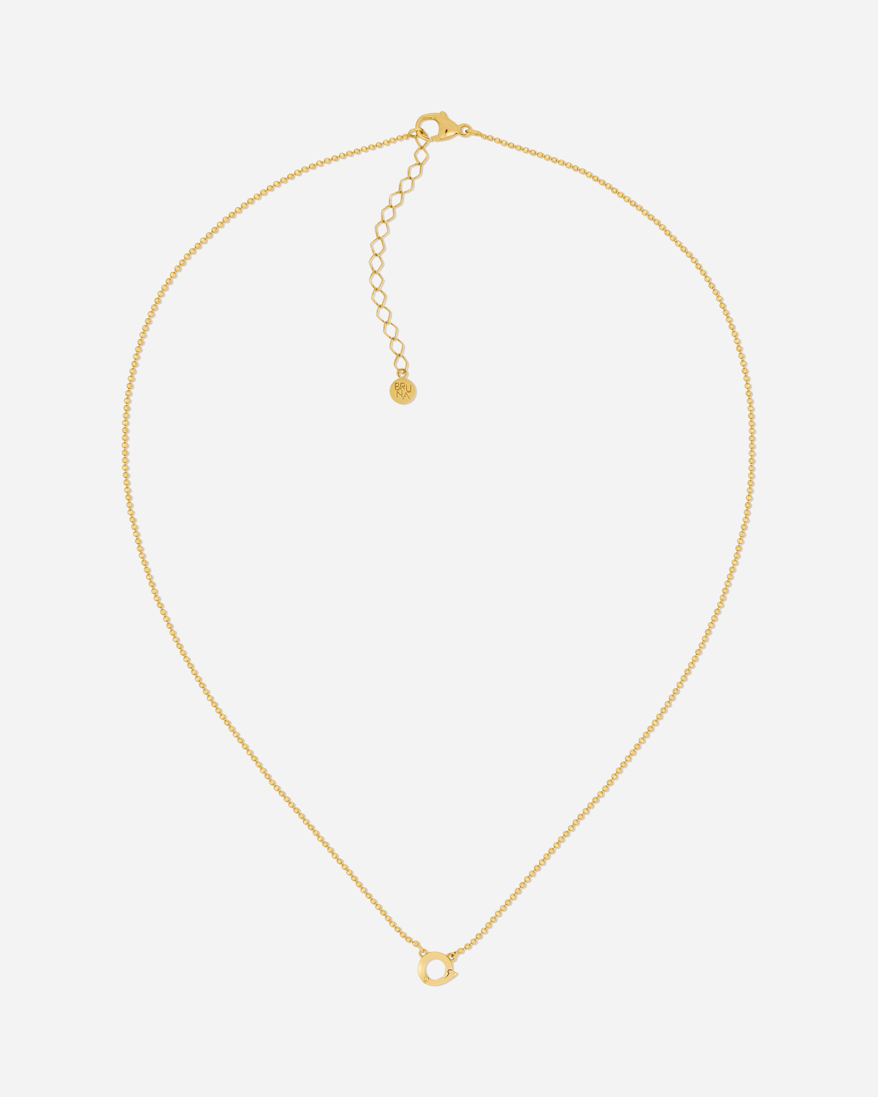 Delphi Charm Clasp Necklace