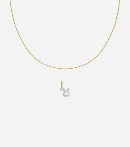 Zodiac Charm Set
