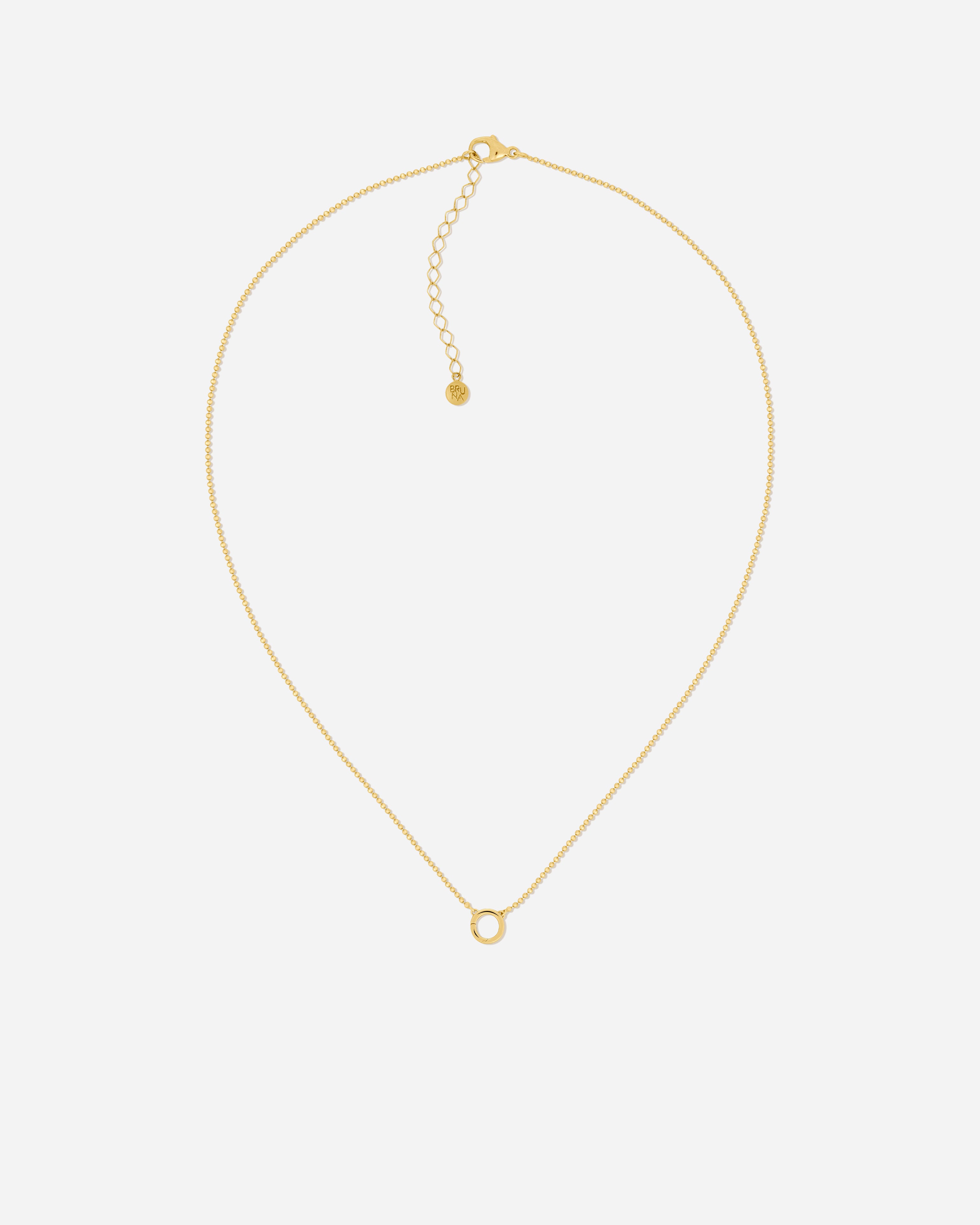 Delphi Charm Clasp Necklace