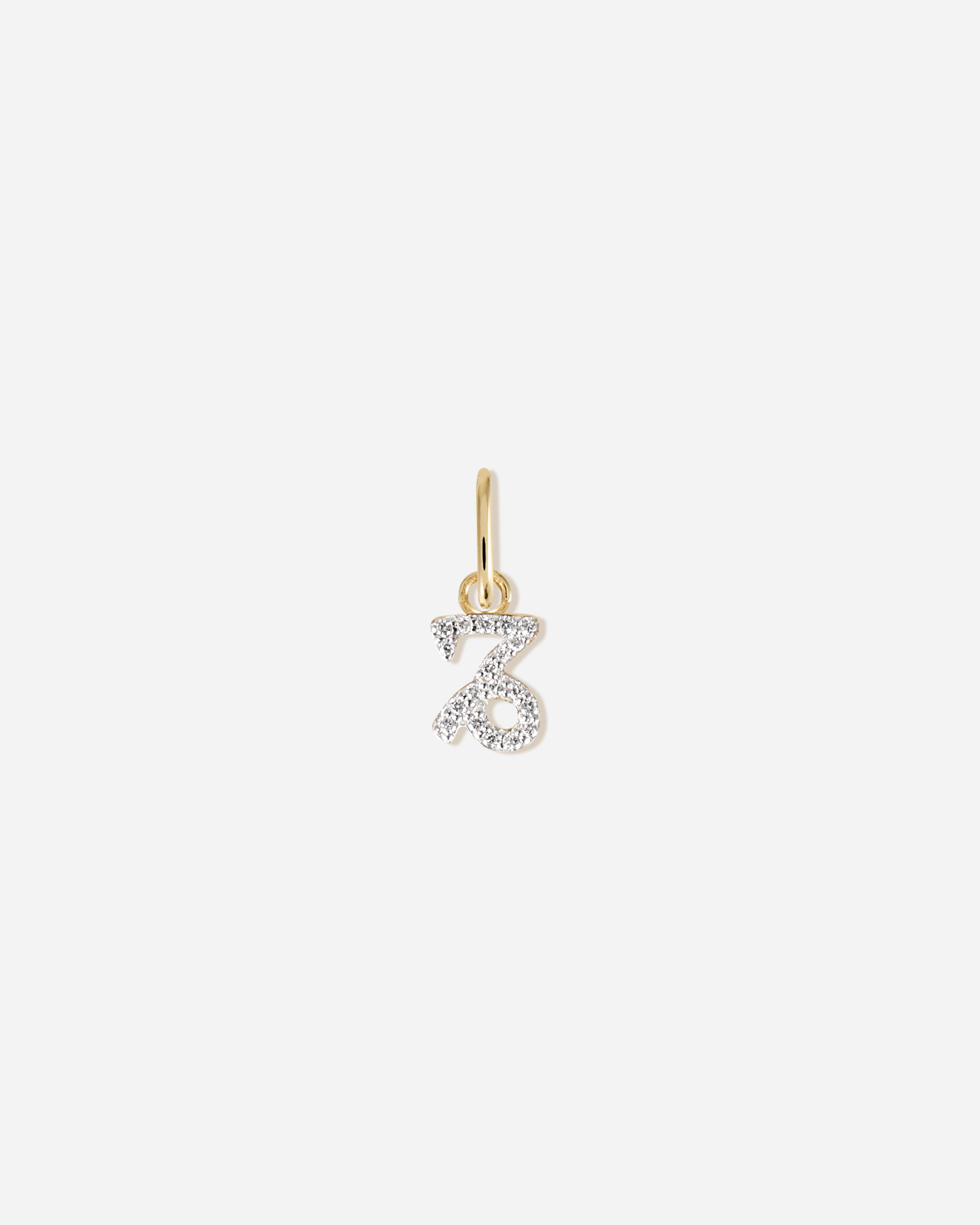 Zodiac Charm