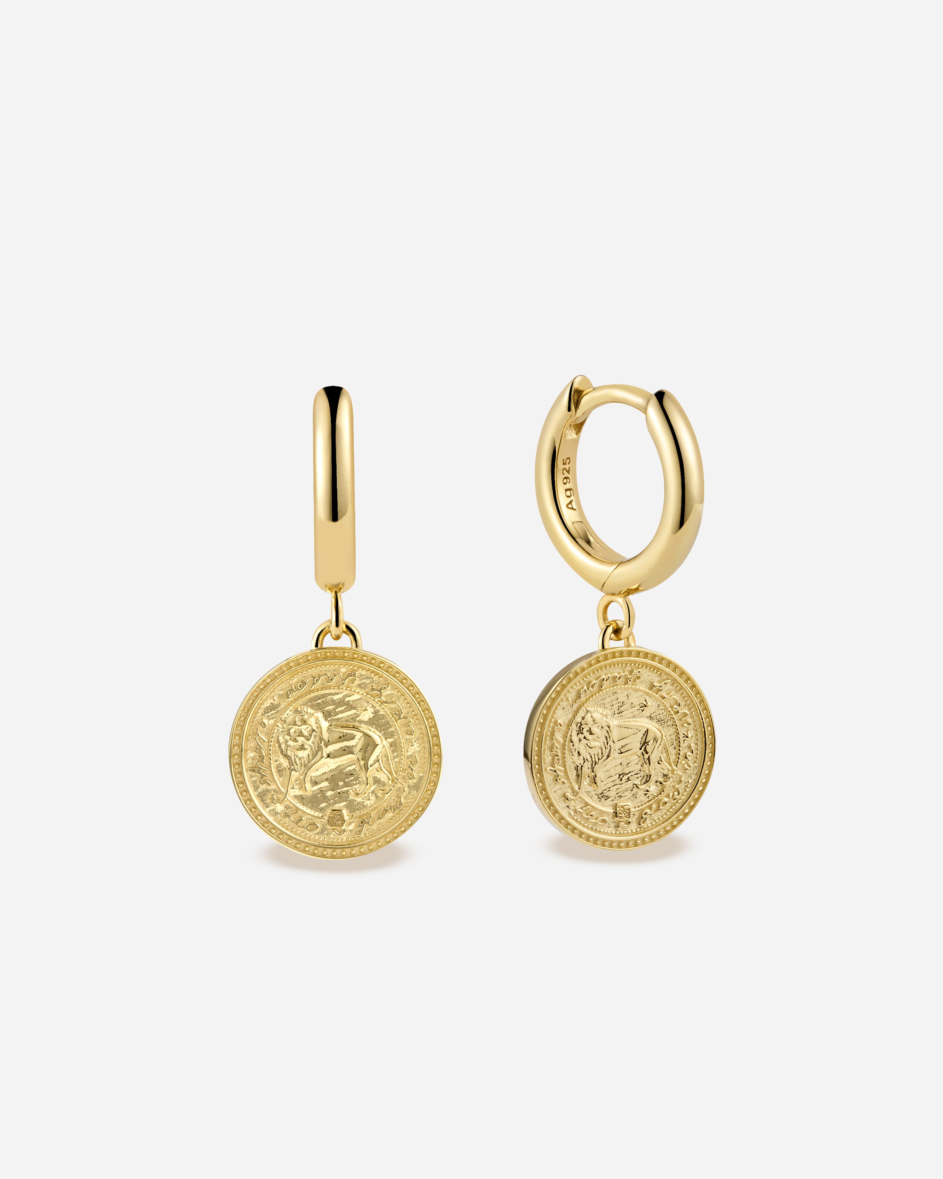 Zodiac Hoops