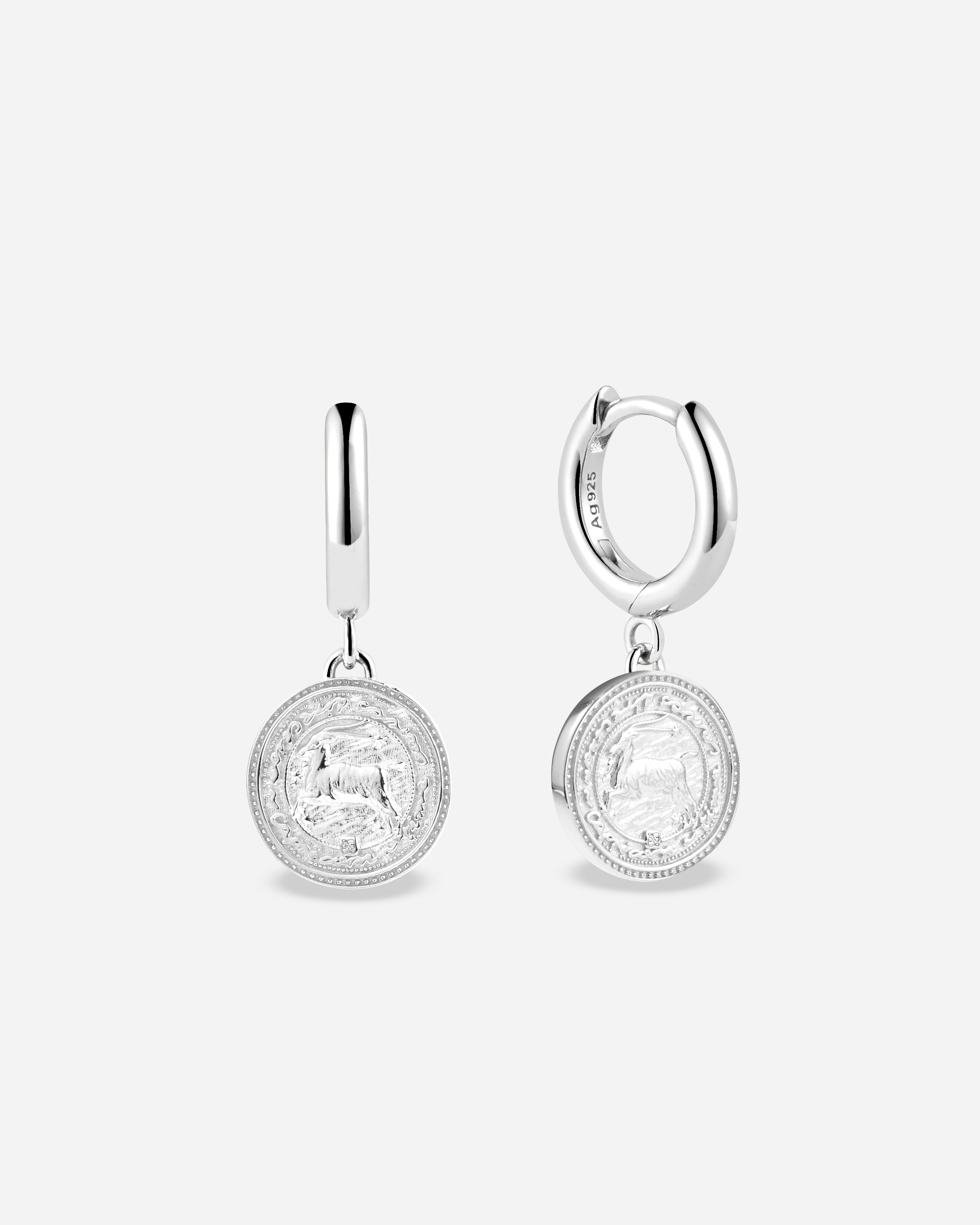 Zodiac Hoops