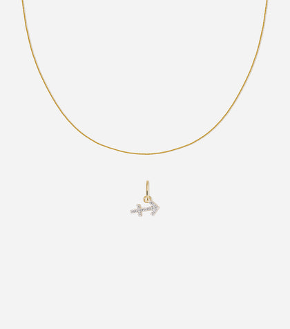 Zodiac Charm Set