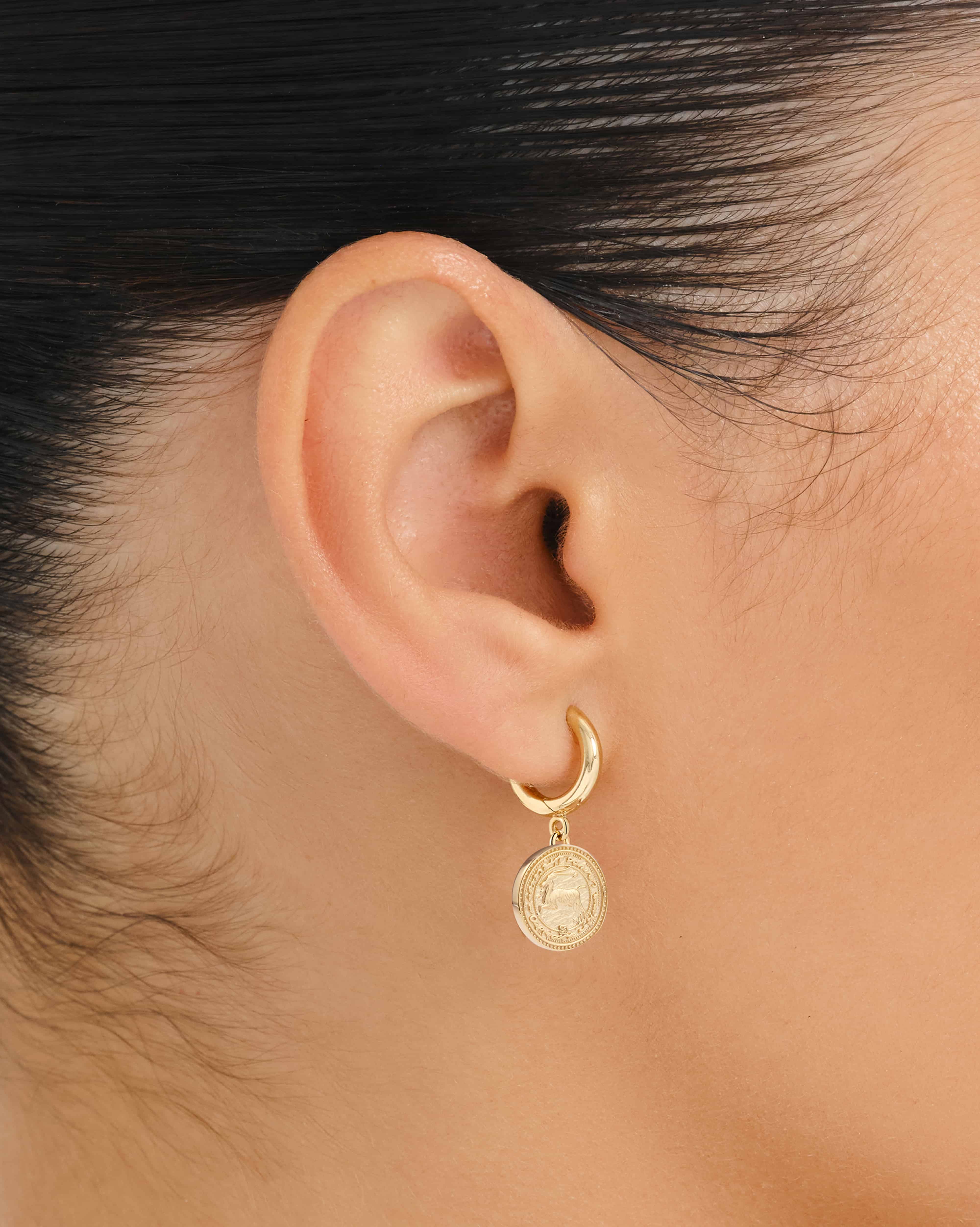Zodiac Hoops